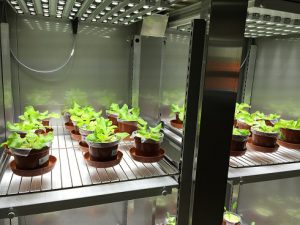 aralab_plant_research_cabinets.jpg aralab_plant_research_cabinets.jpg